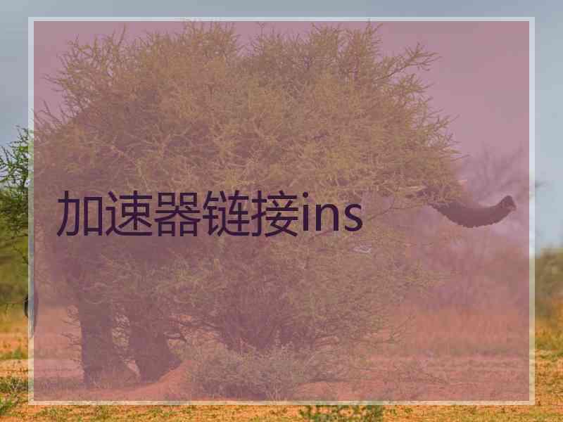 加速器链接ins