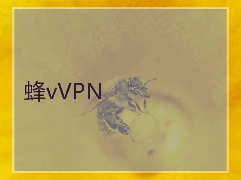 蜂vVPN