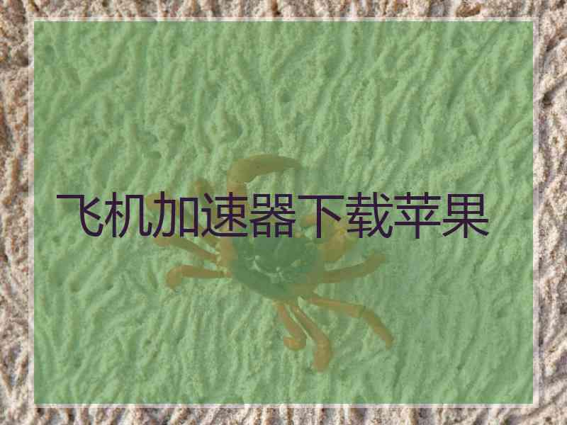 飞机加速器下载苹果
