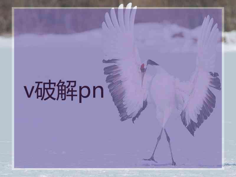 v破解pn
