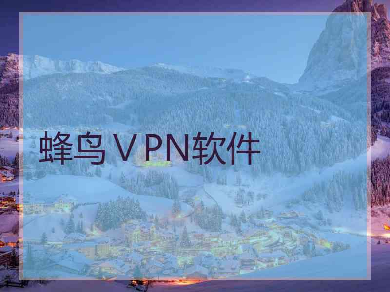 蜂鸟ⅤPN软件