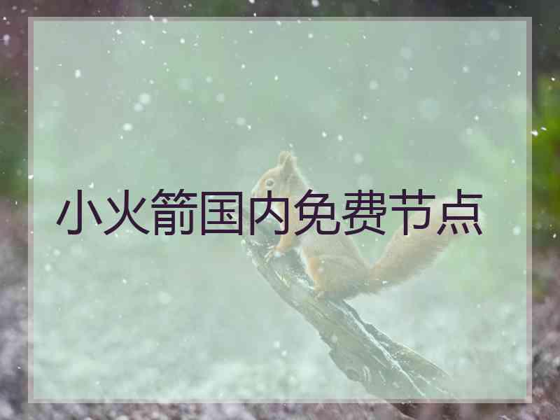 小火箭国内免费节点