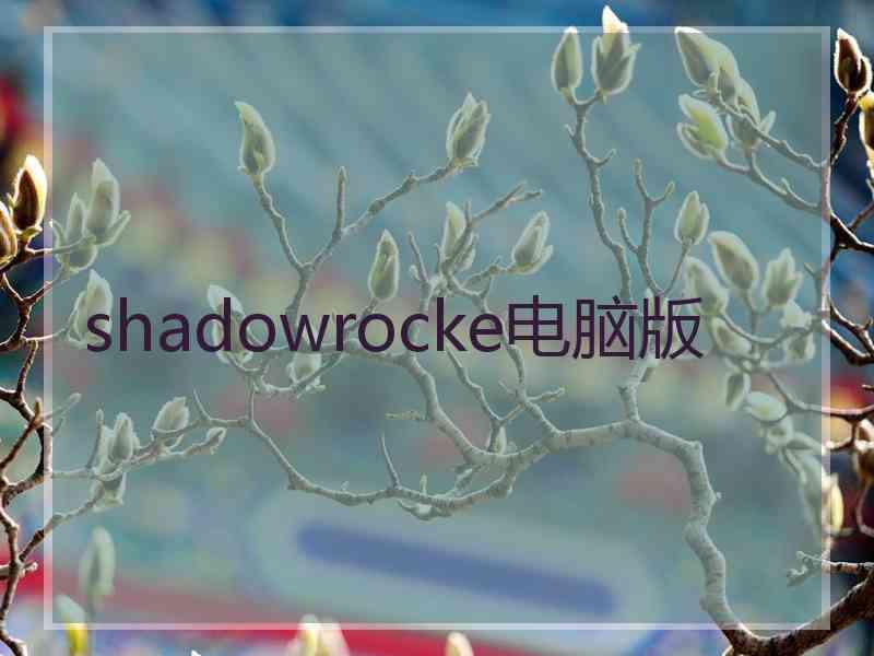 shadowrocke电脑版