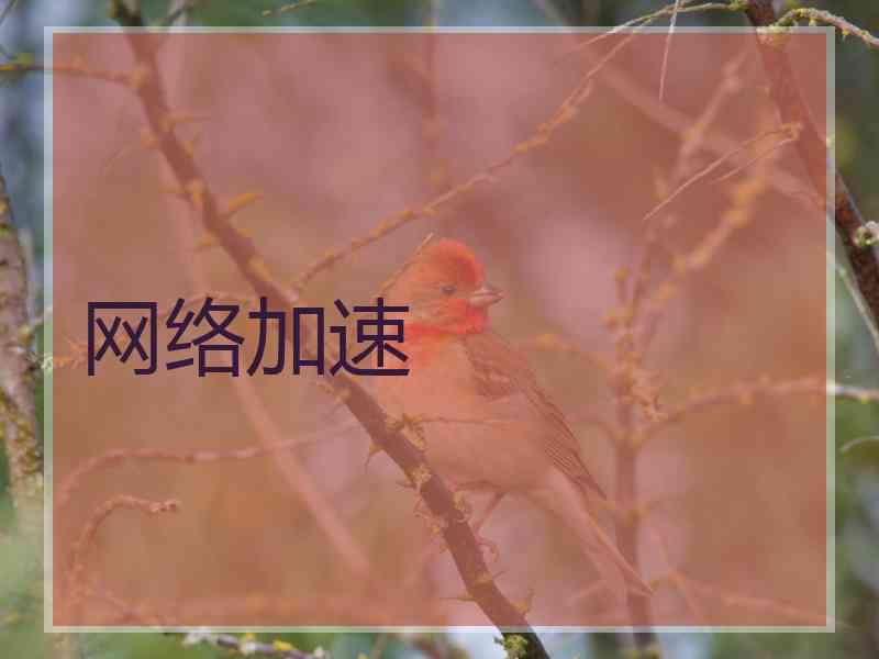 网络加速
