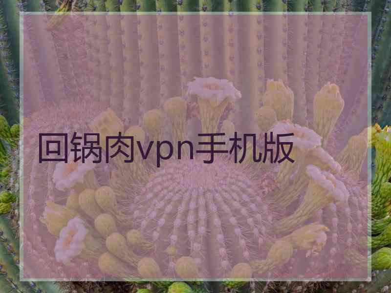 回锅肉vpn手机版