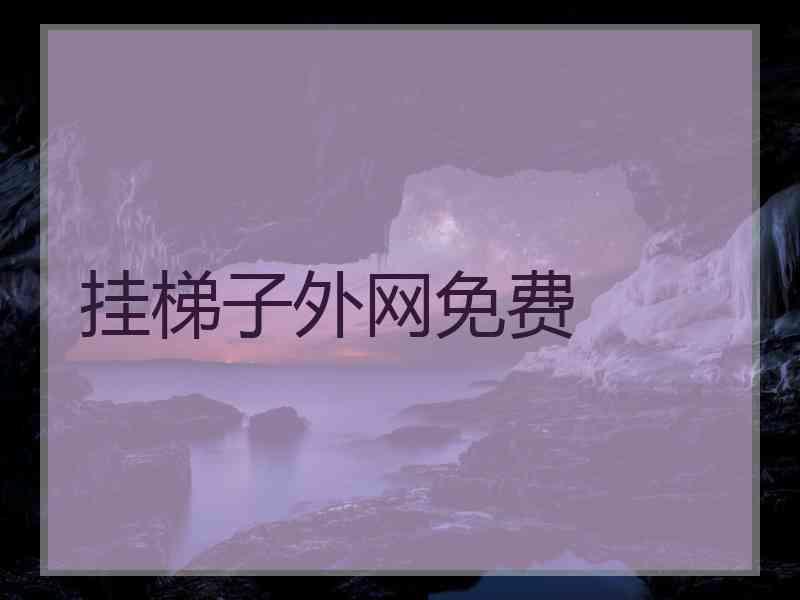 挂梯子外网免费