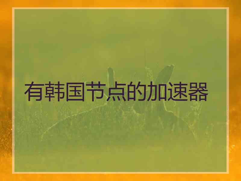 有韩国节点的加速器