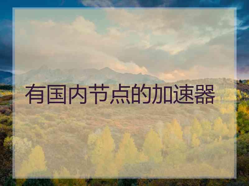 有国内节点的加速器
