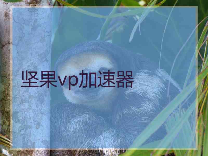 坚果vp加速器