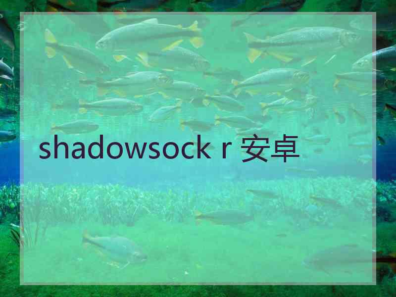 shadowsock r 安卓