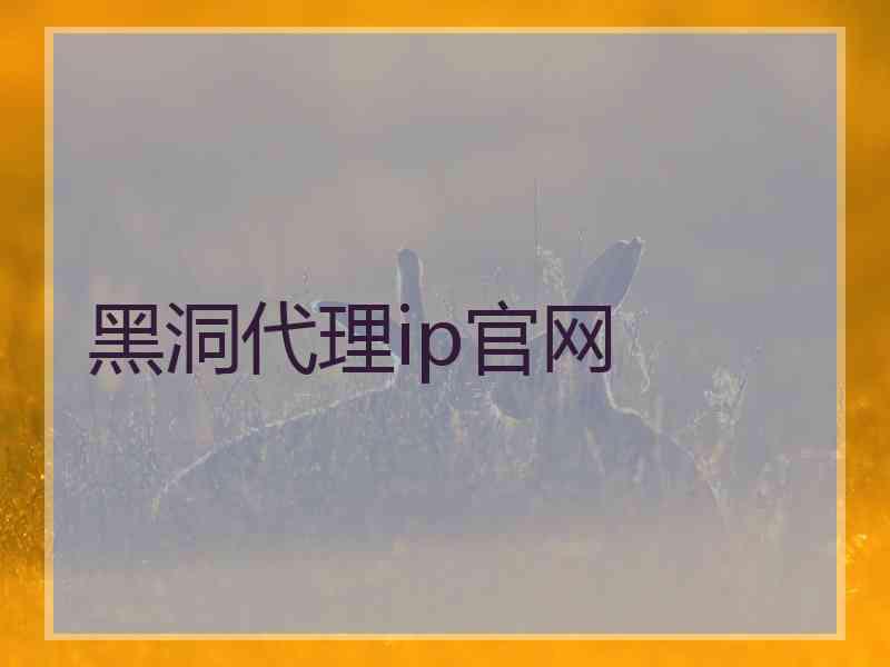 黑洞代理ip官网