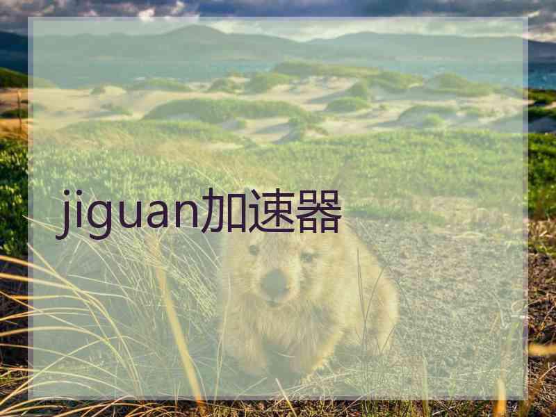 jiguan加速器