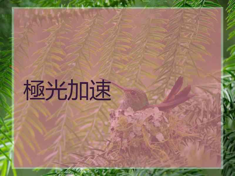 極光加速