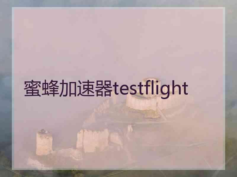 蜜蜂加速器testflight