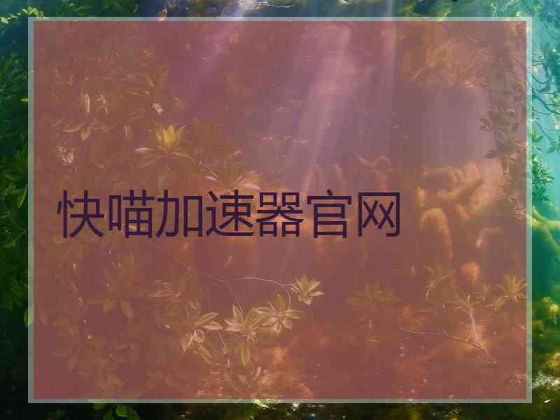 快喵加速器官网