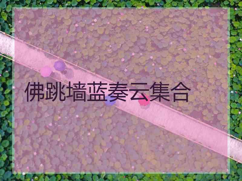 佛跳墙蓝奏云集合