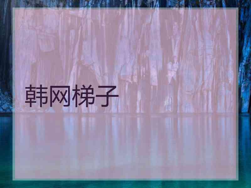 韩网梯子