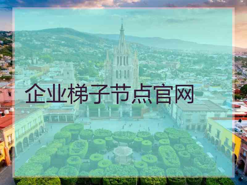 企业梯子节点官网