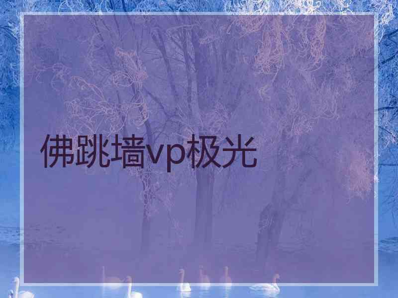 佛跳墙vp极光