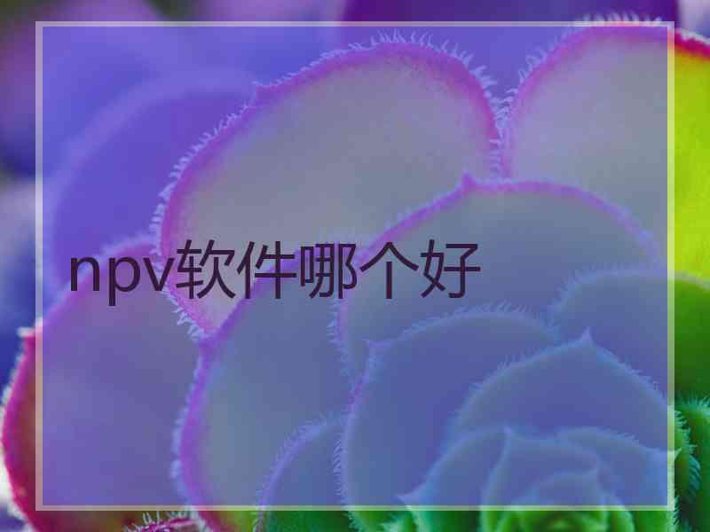 npv软件哪个好