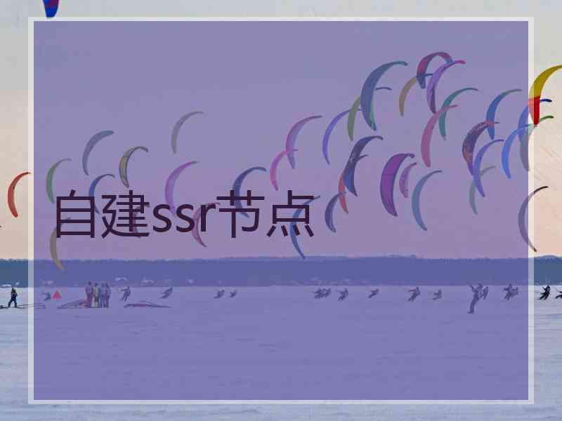 自建ssr节点