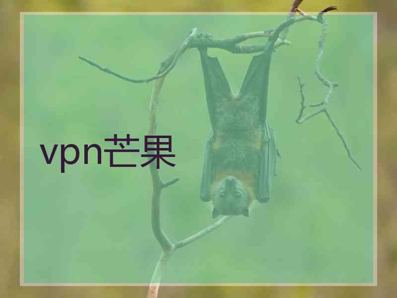 vpn芒果