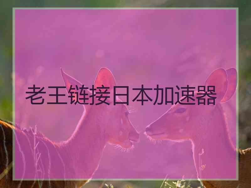 老王链接日本加速器