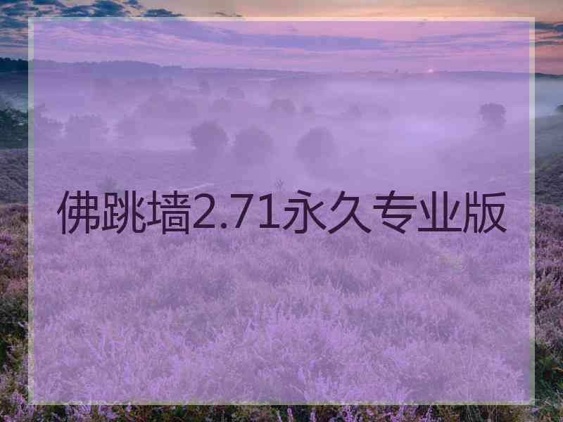 佛跳墙2.71永久专业版