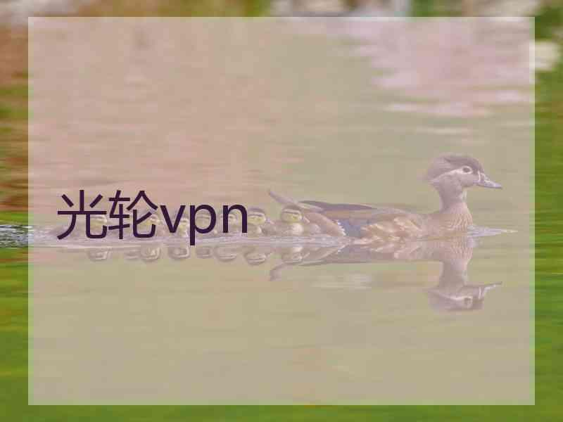 光轮vpn