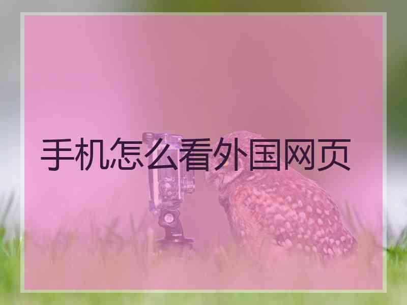 手机怎么看外国网页