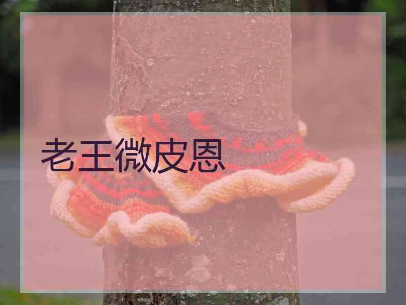 老王微皮恩