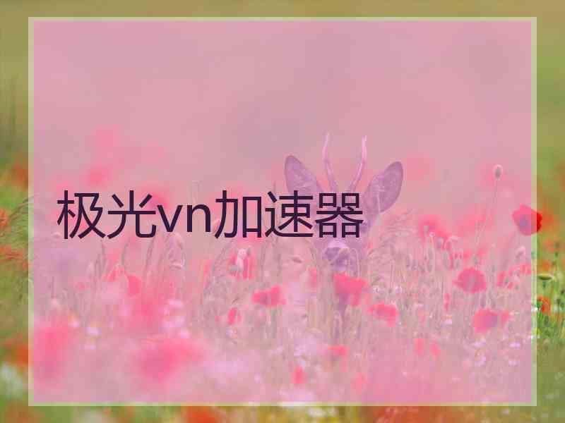 极光vn加速器