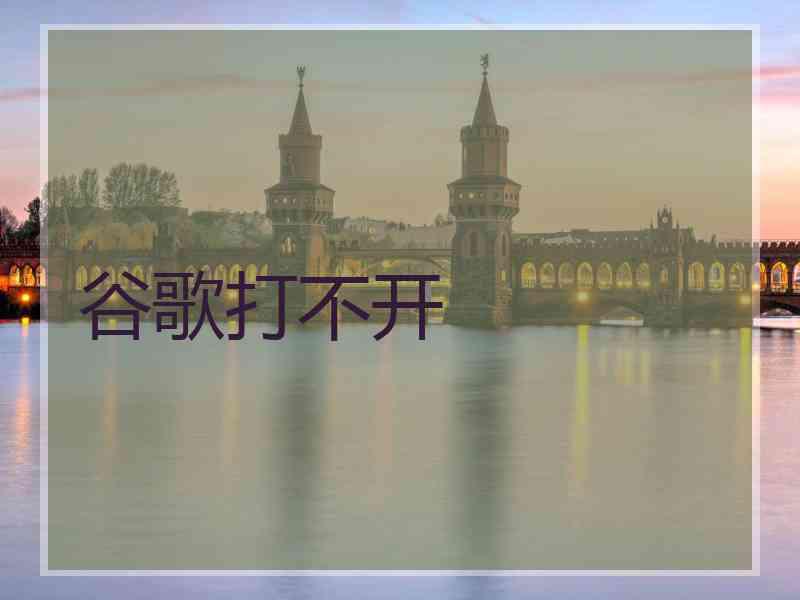 谷歌打不开