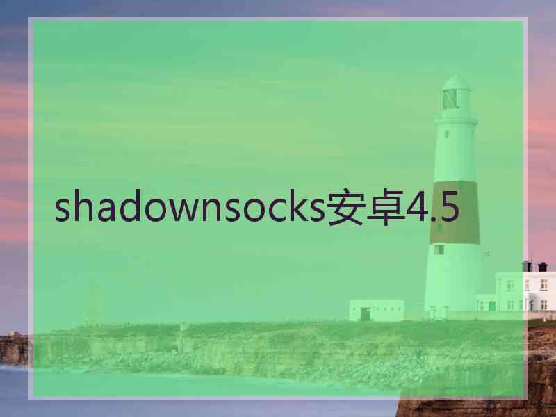 shadownsocks安卓4.5