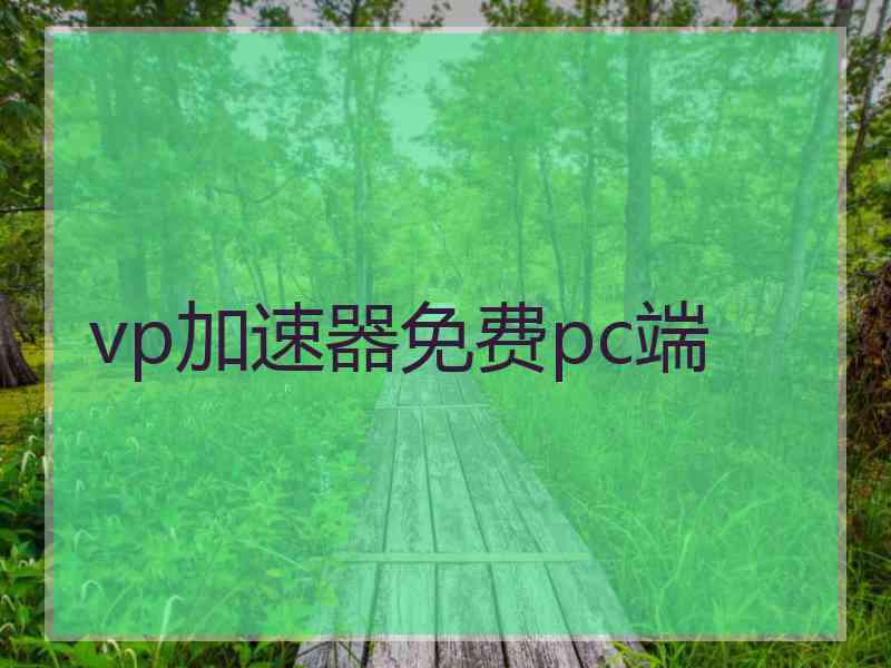 vp加速器免费pc端