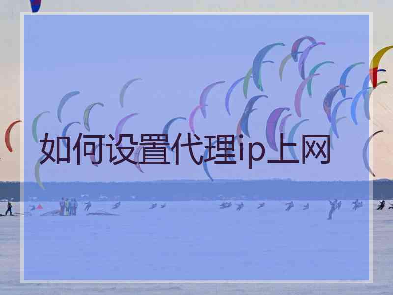 如何设置代理ip上网