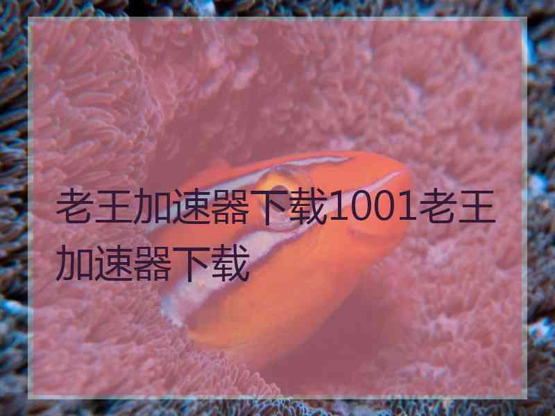 老王加速器下载1001老王加速器下载