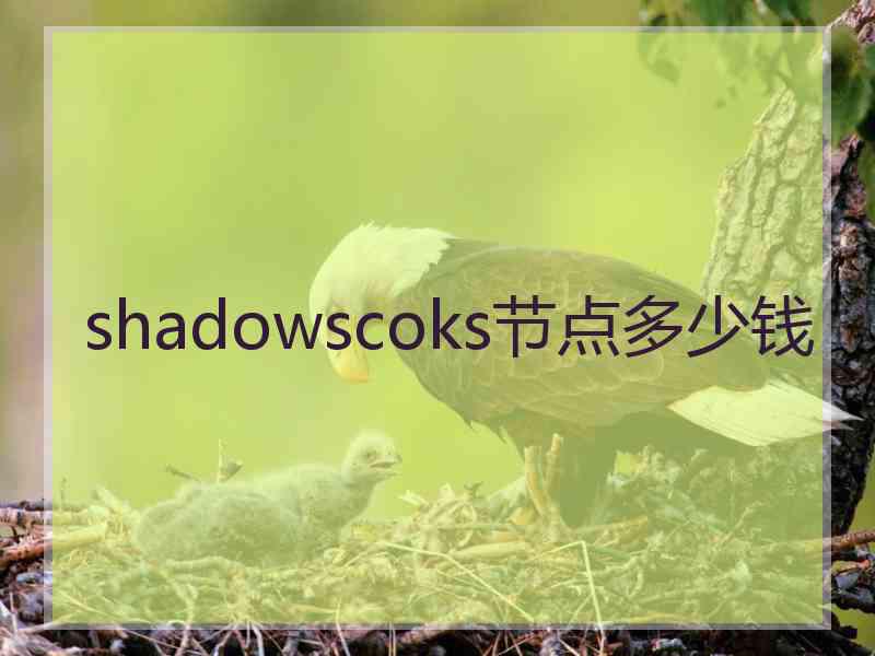 shadowscoks节点多少钱