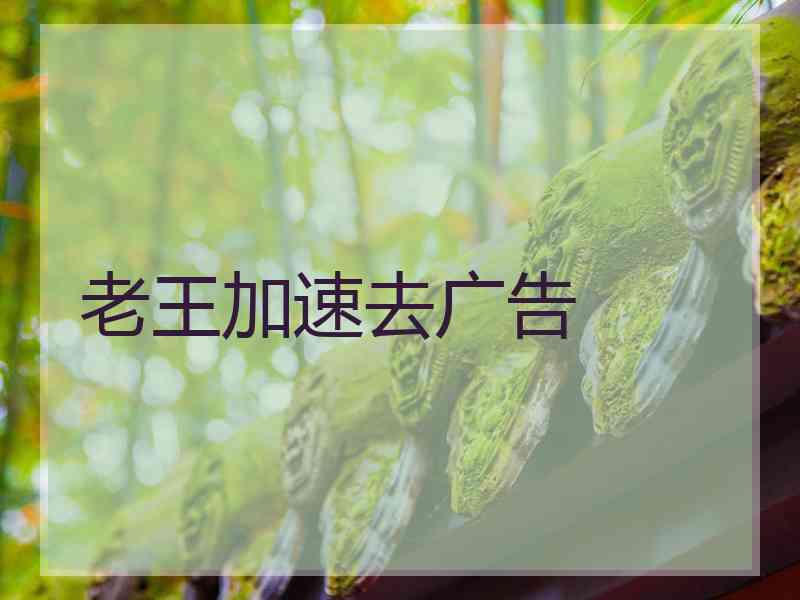 老王加速去广告