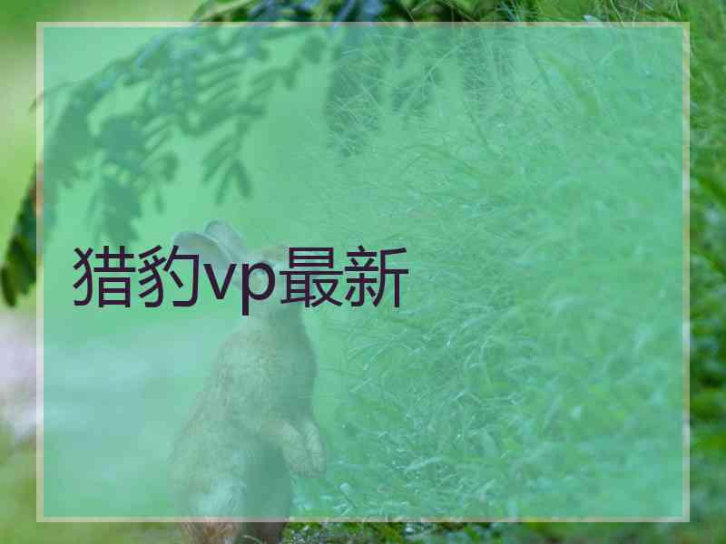 猎豹vp最新