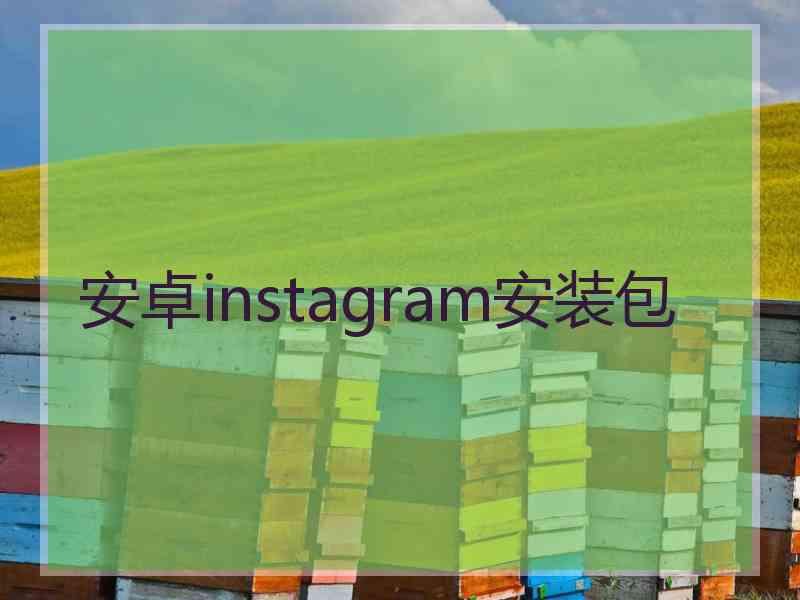 安卓instagram安装包