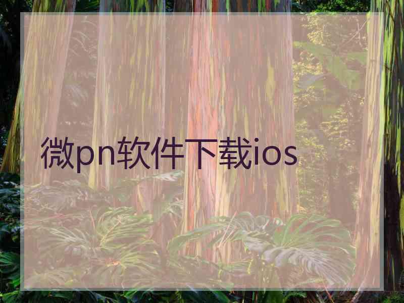 微pn软件下载ios