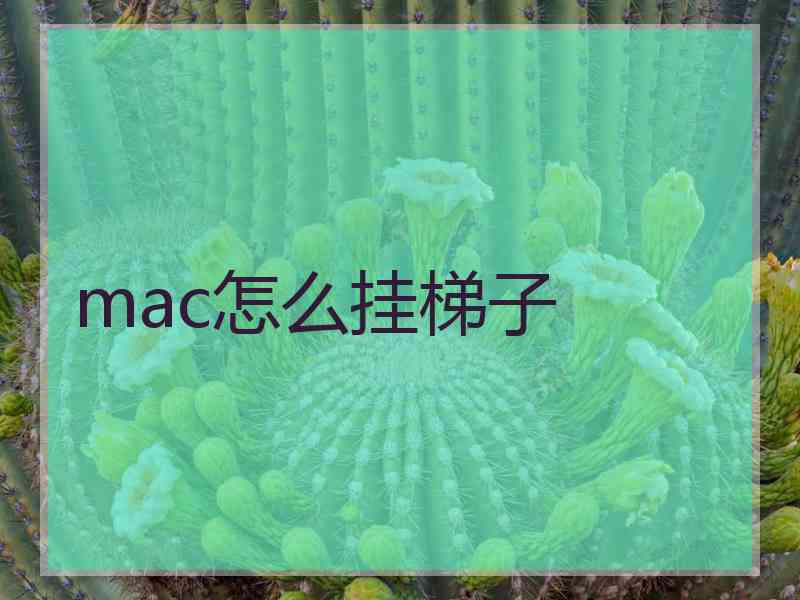 mac怎么挂梯子