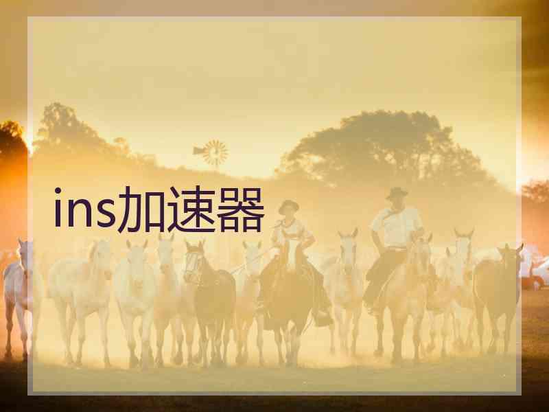 ins加速器