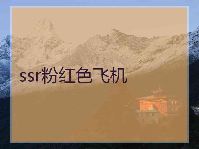 ssr粉红色飞机