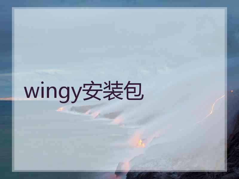 wingy安装包