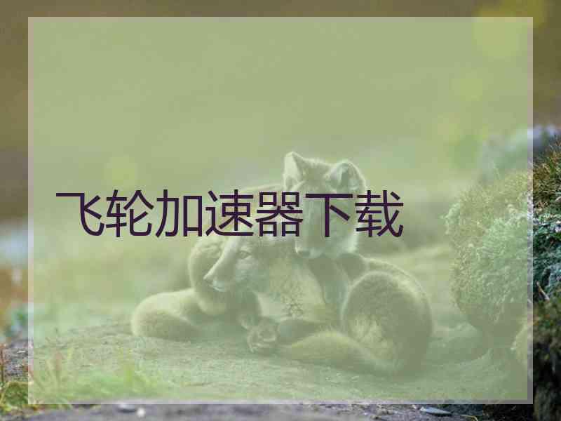 飞轮加速器下载