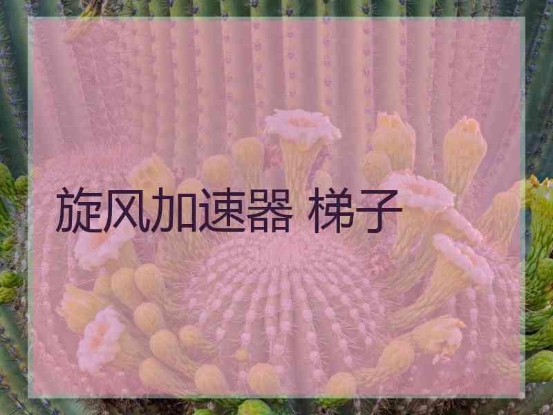 旋风加速器 梯子