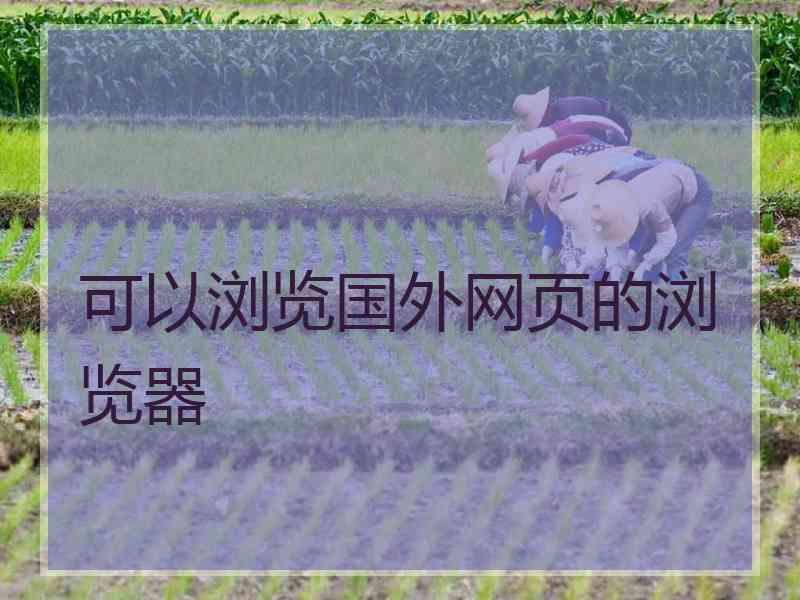 可以浏览国外网页的浏览器