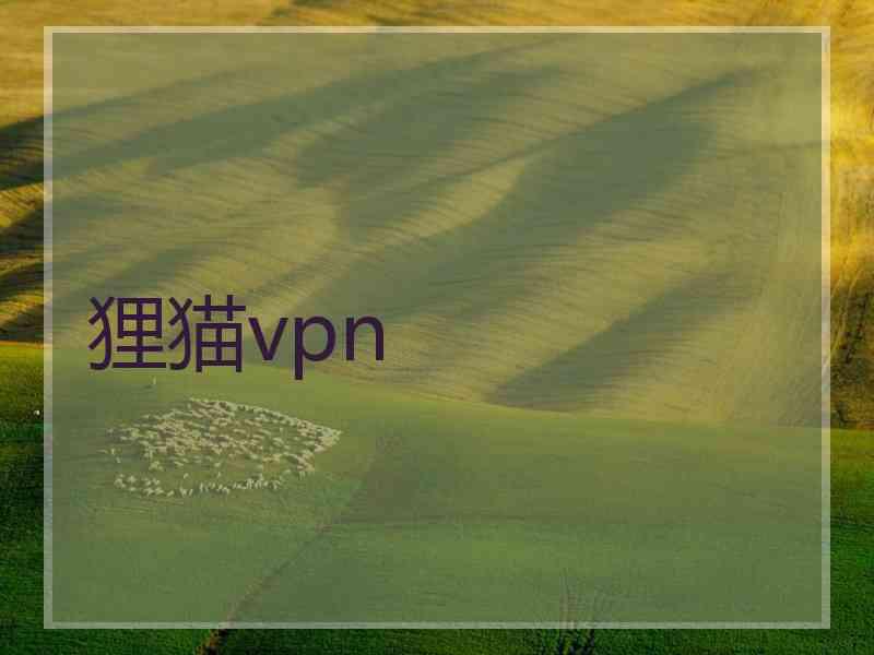 狸猫vpn
